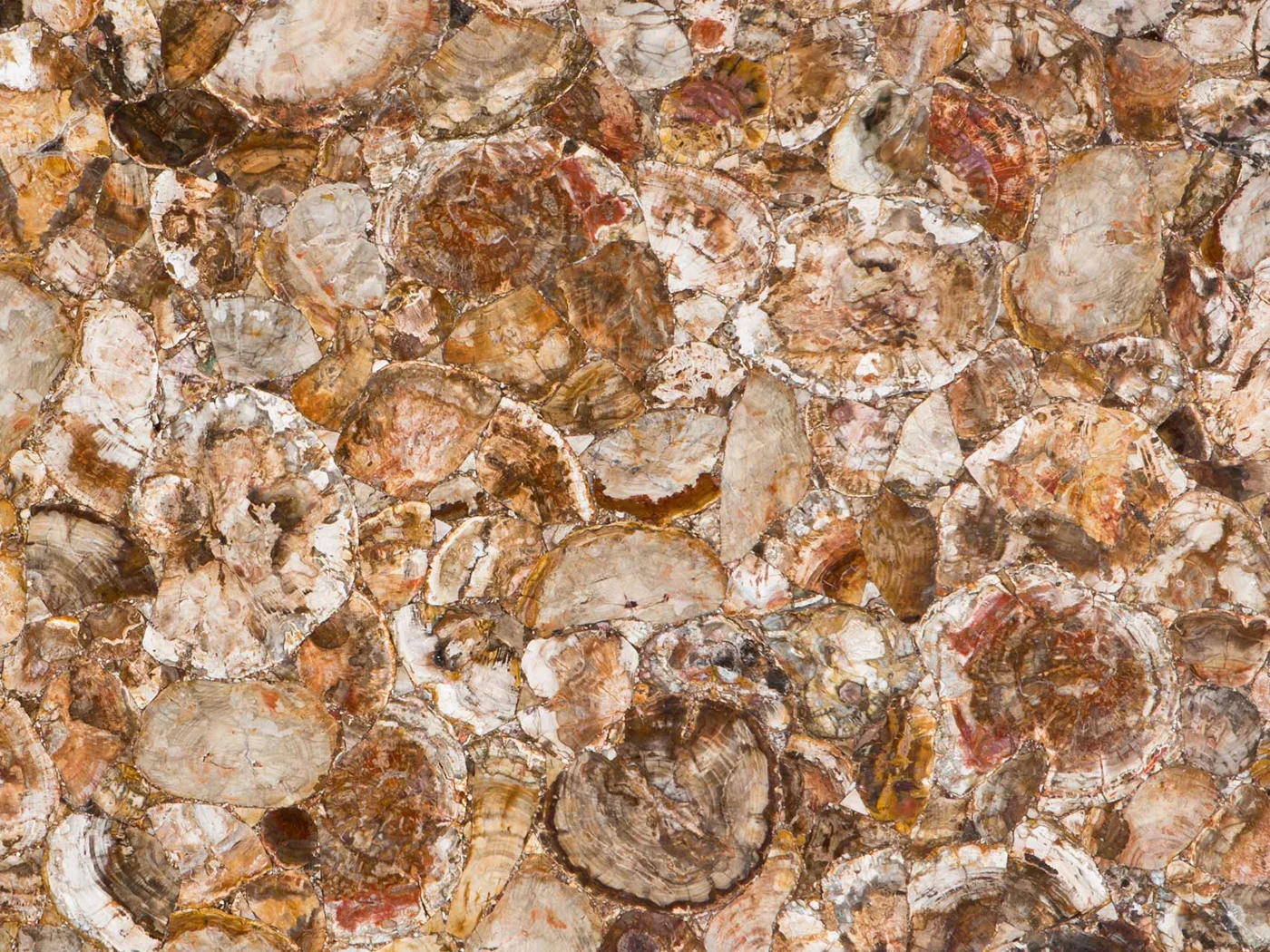 Pietre semipreziose · Marmi di Carrara