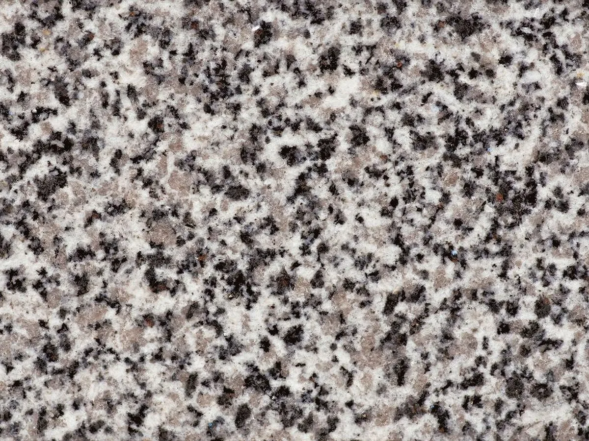 Bianco Dalmata · granit