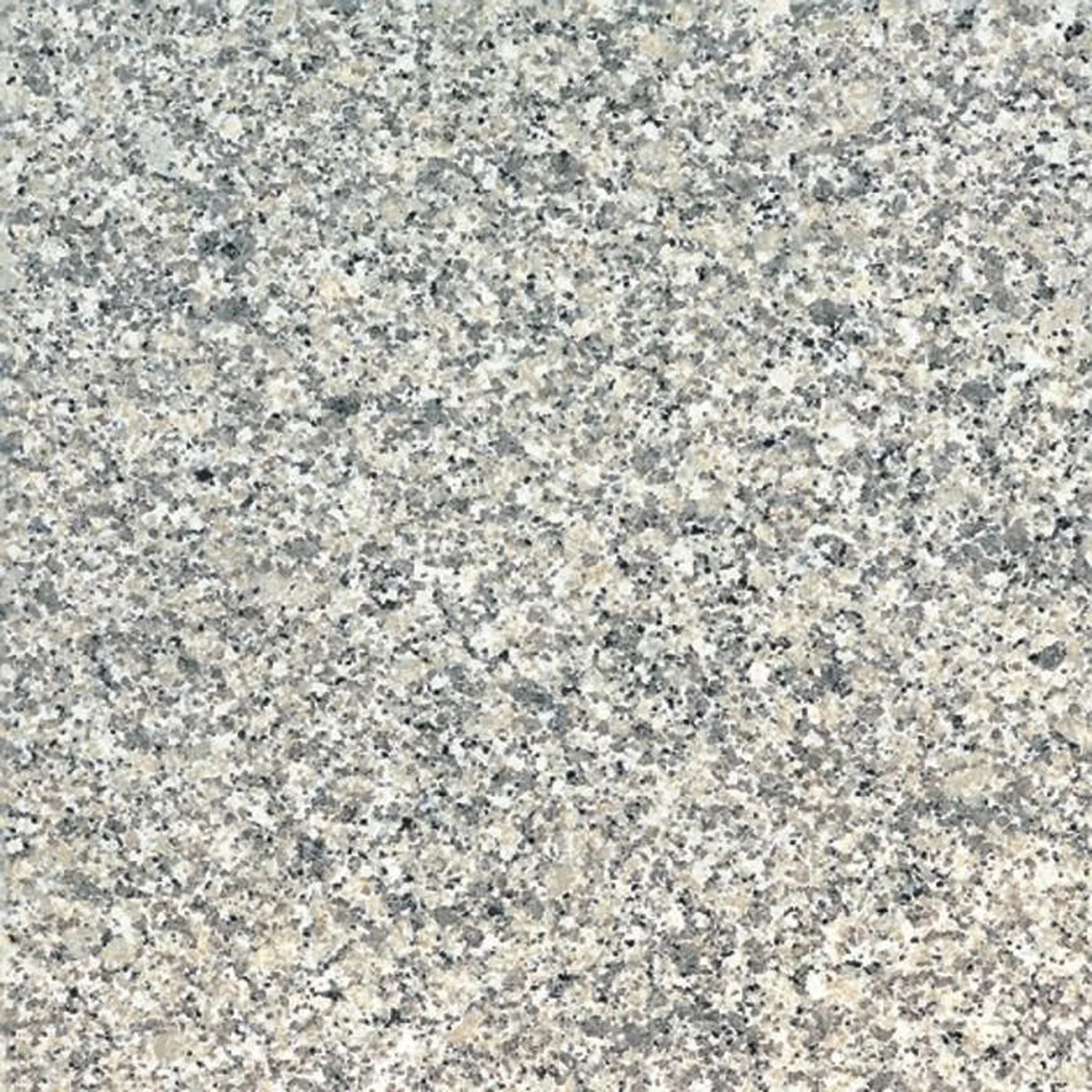 Bianco Sarde F · granit
