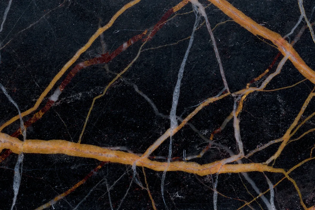 Black and Gold · marm