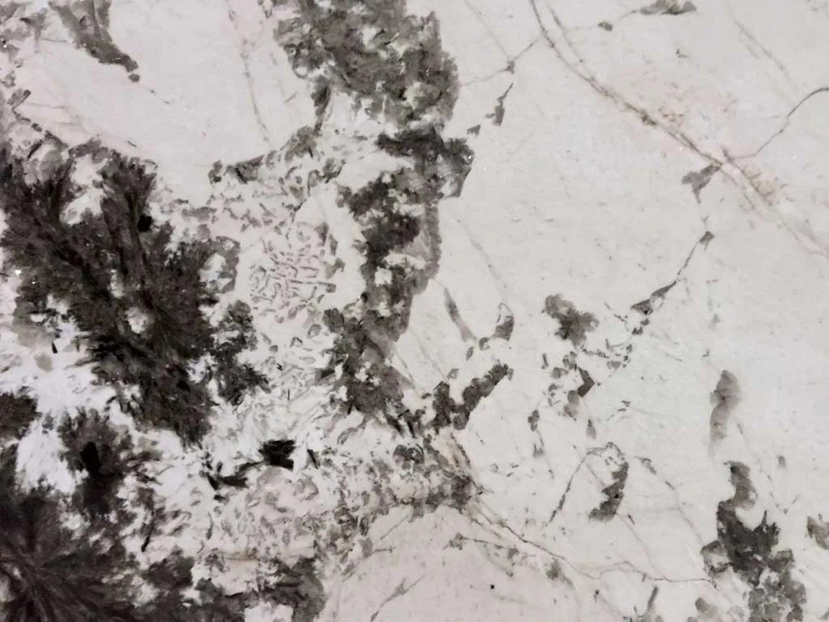 Blanc de Blanc · granit