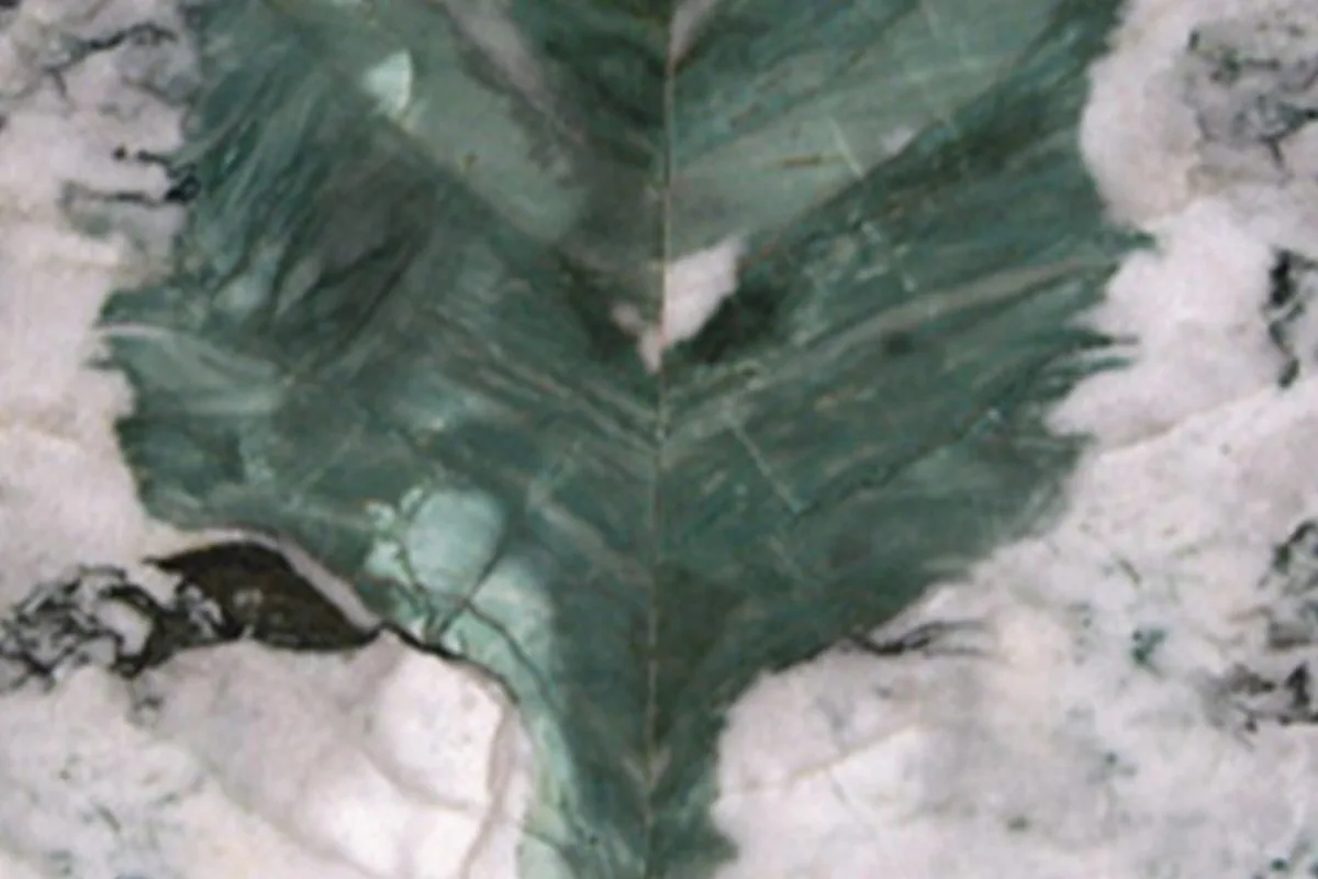 Botanic Wave · quarzit