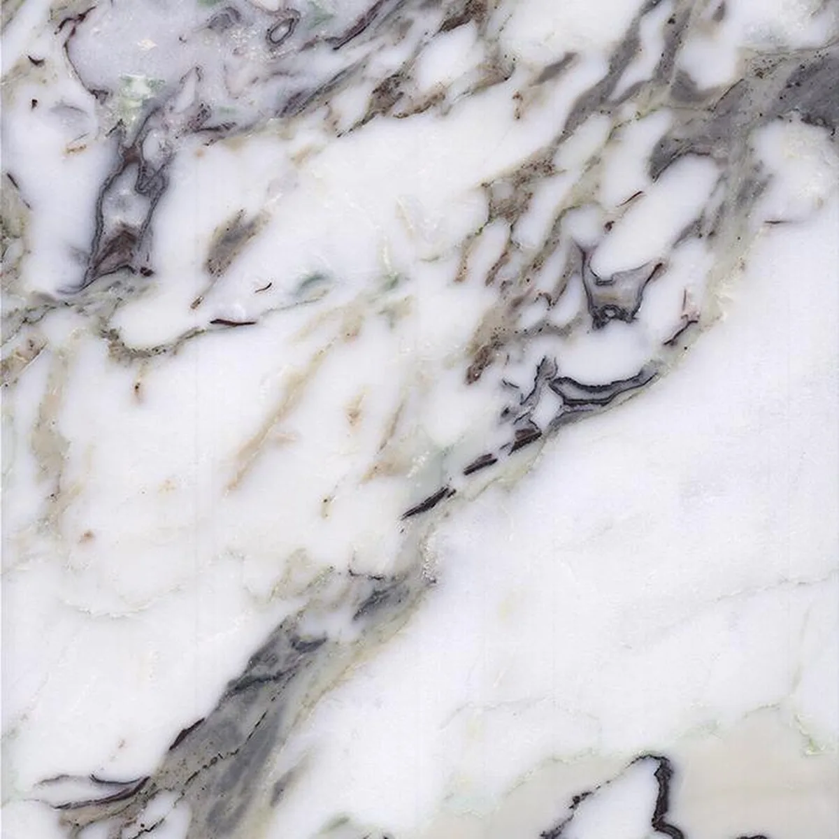 Breccia Medicea · marm