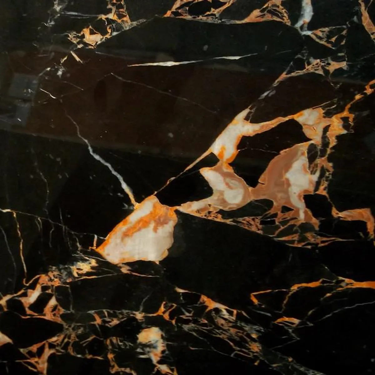 Breccia Portoro · marm