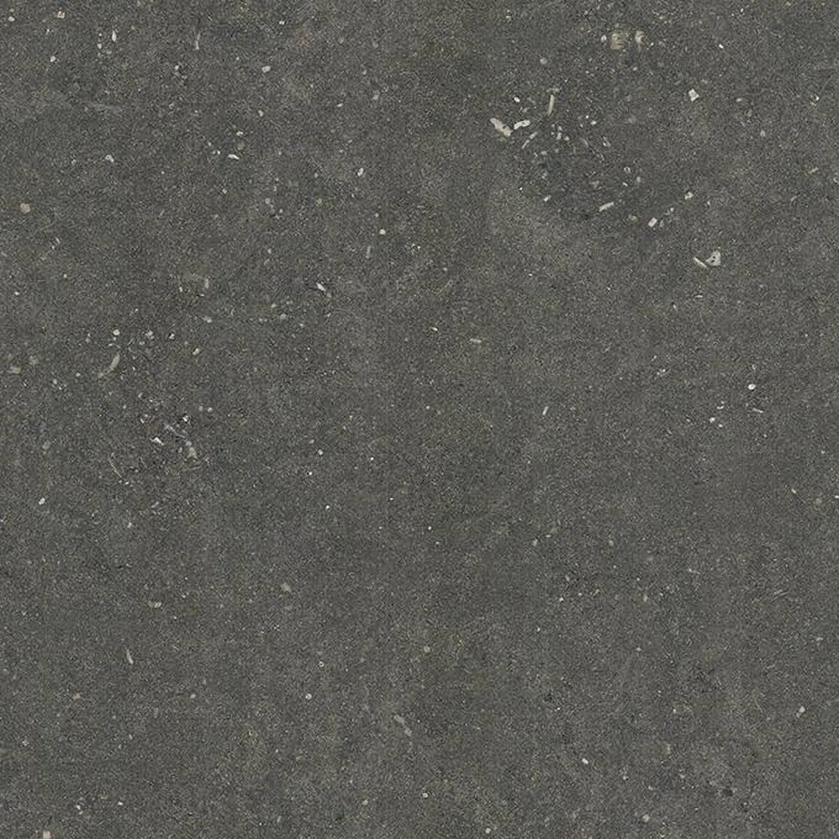 Buxy Gris · pietre