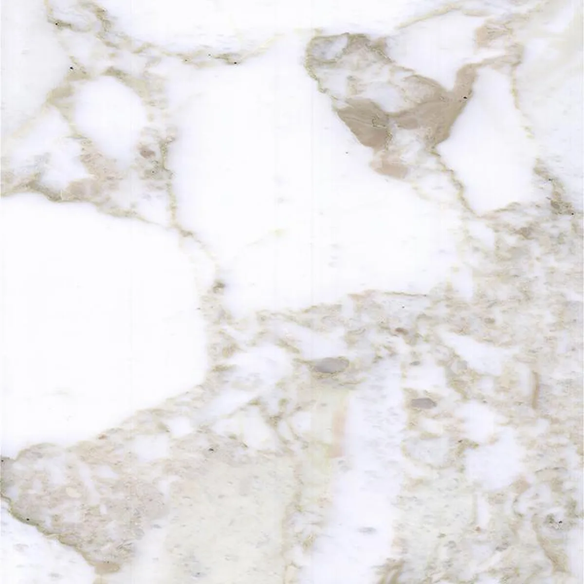 Calacatta Vagli Oro · marm