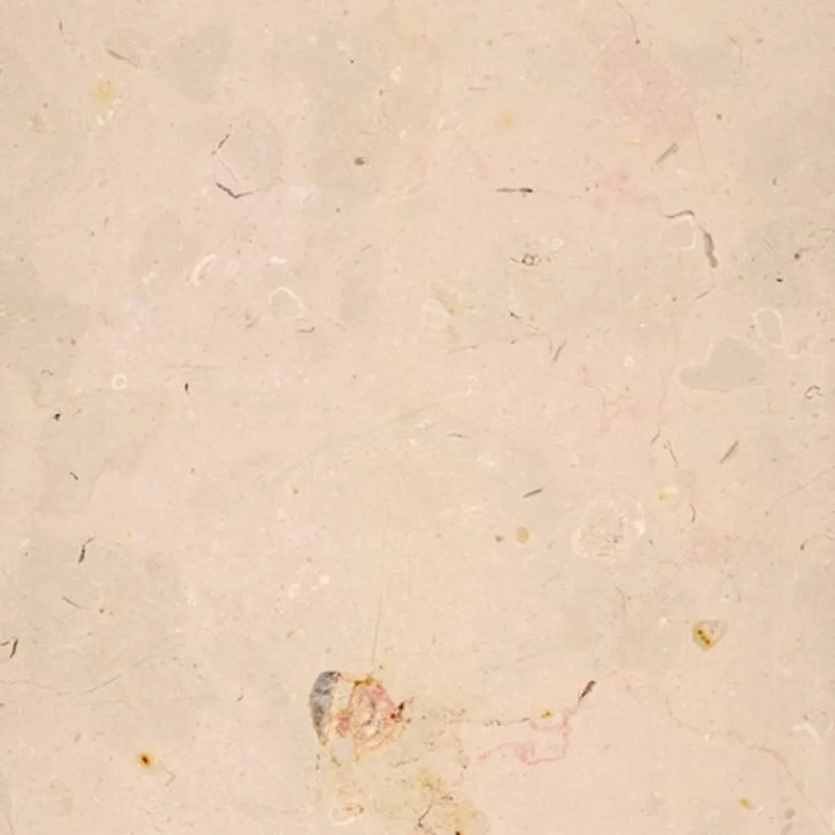 Comblanchien Clair Uni · marm