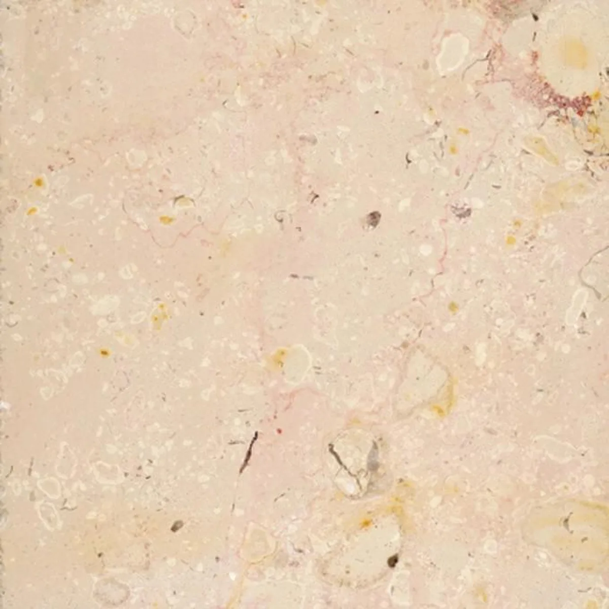 Comblanchien Lm · marm