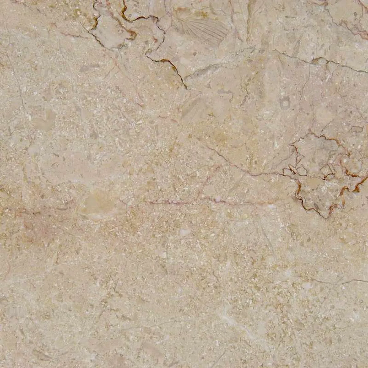 Crema Anatolia · marm
