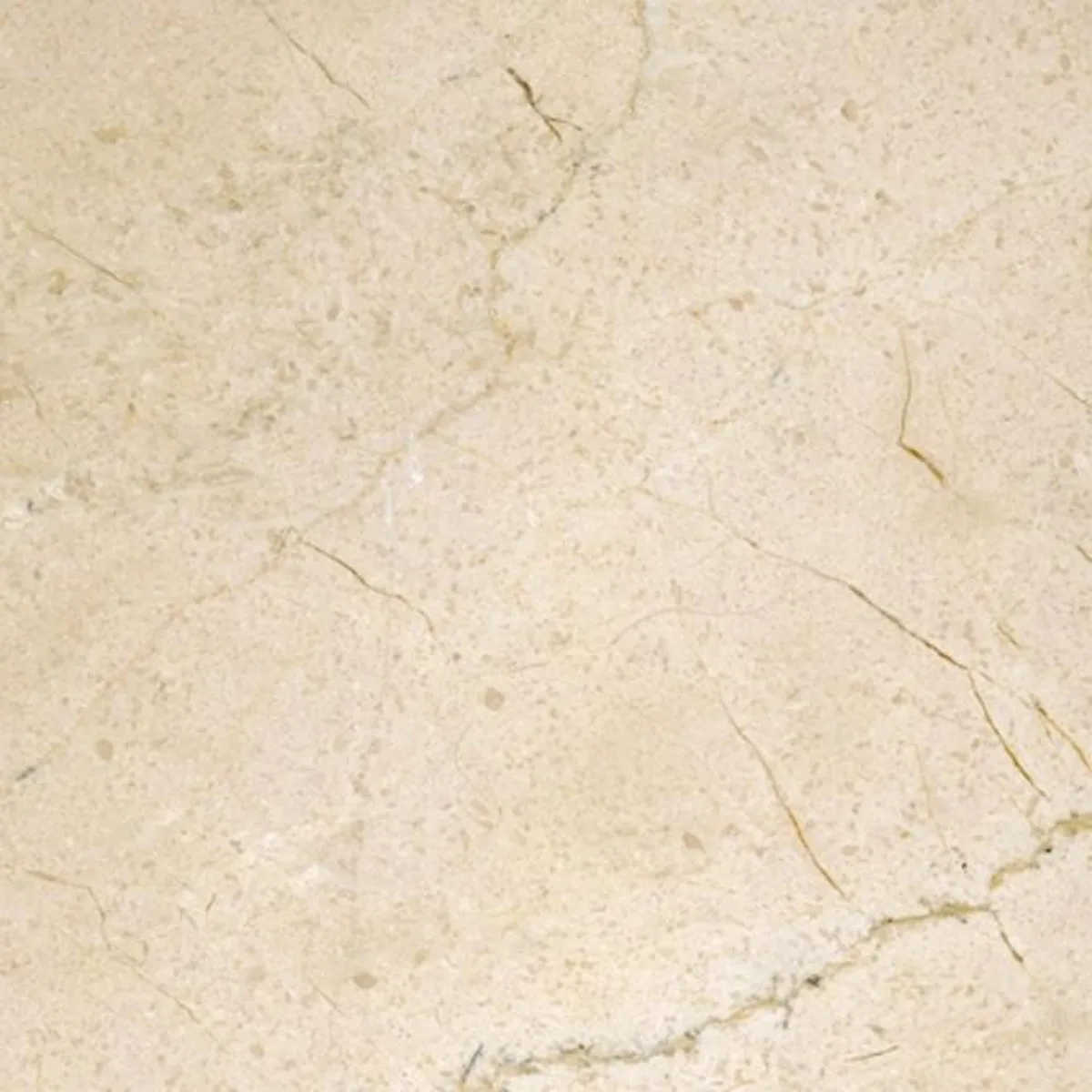 Crema Marfil Select · marm