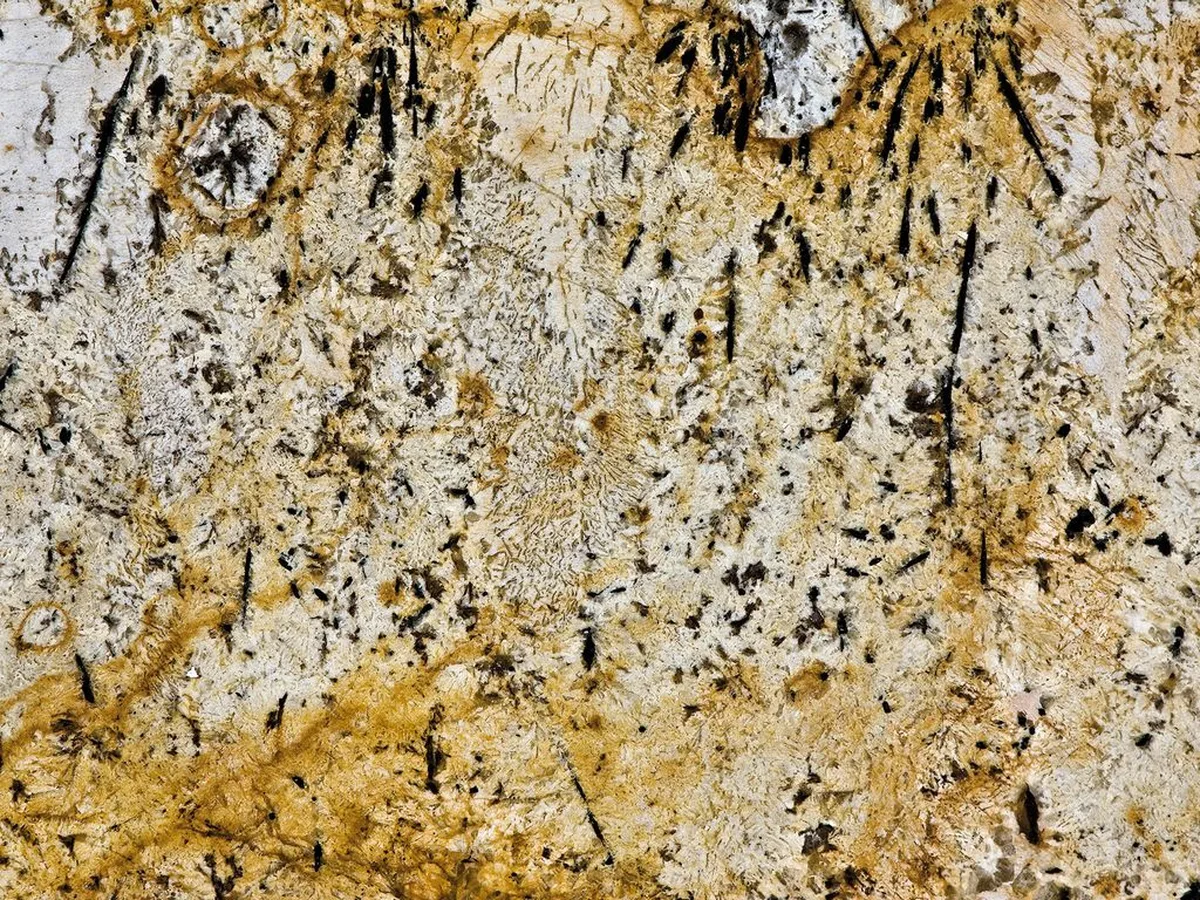 Delicatus Gold · granit
