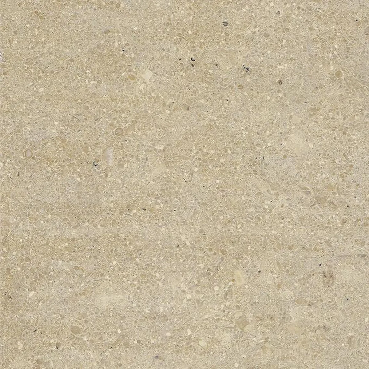 Eski Gold · marm
