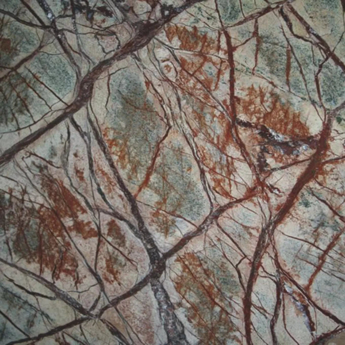 Forest Brown · marm