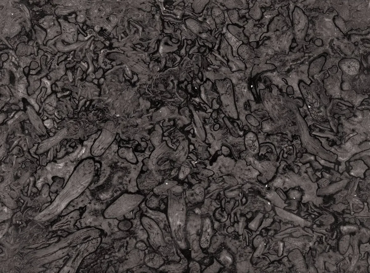 Fossil Grey · marm