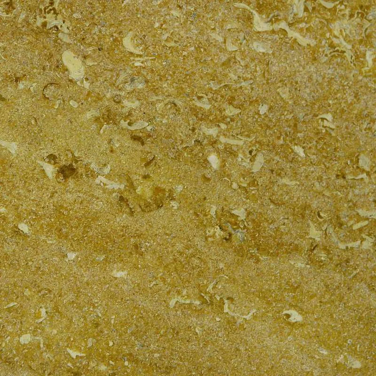 Giallo Numidia · marm