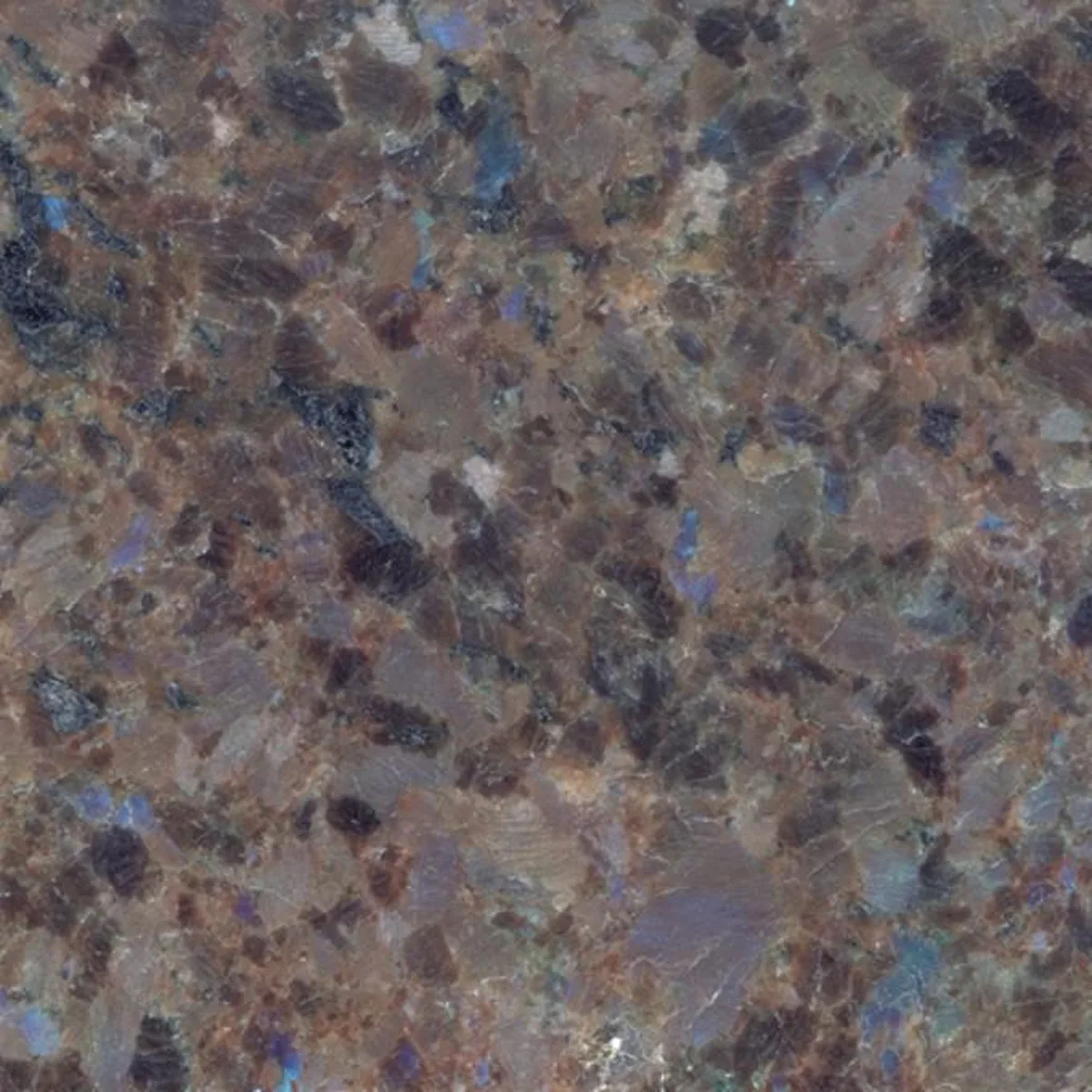 Labrador Blue Antique · granit