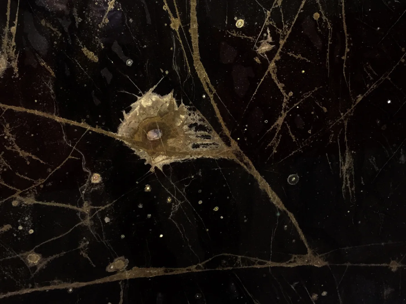 Luce di Agate · quarzit