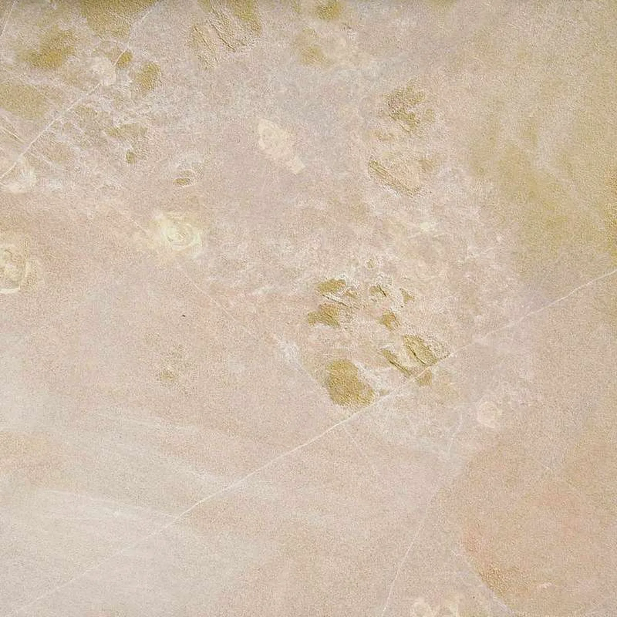 Pietra Icnhusa · pietre