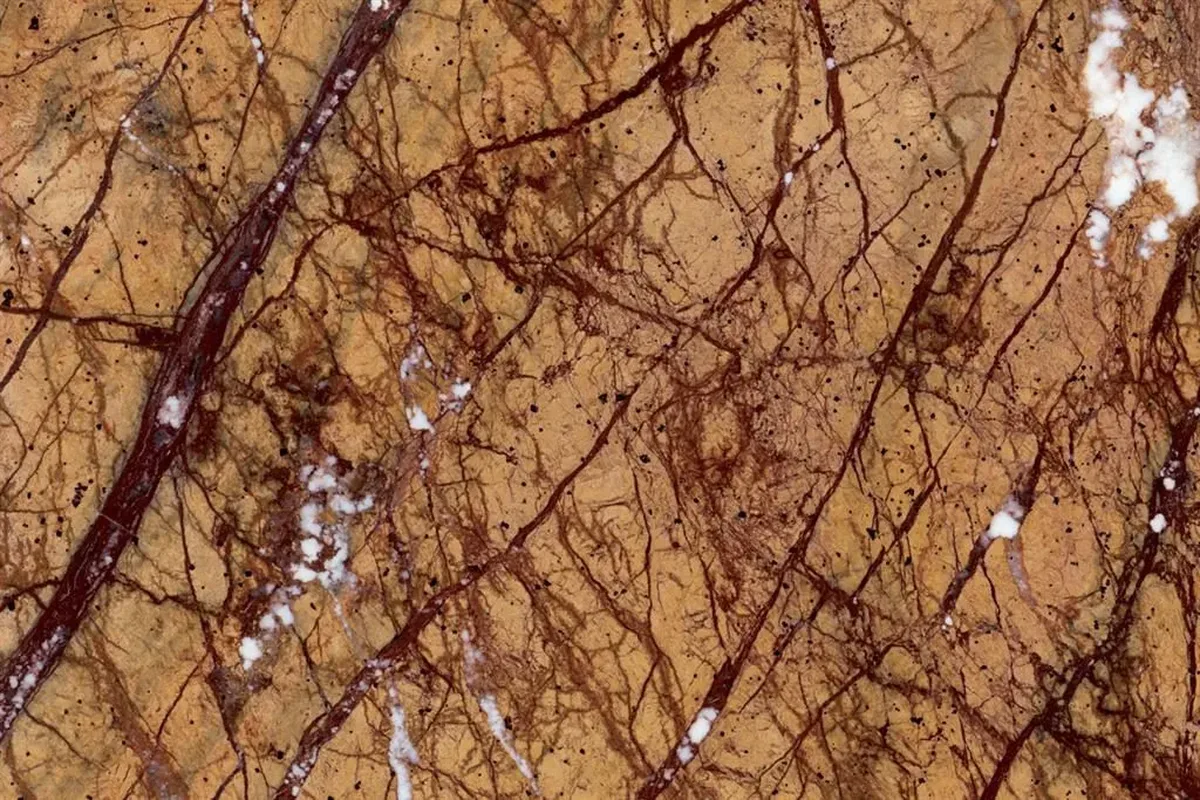 Rain Forest Gold · marmo · lastra · foto 3