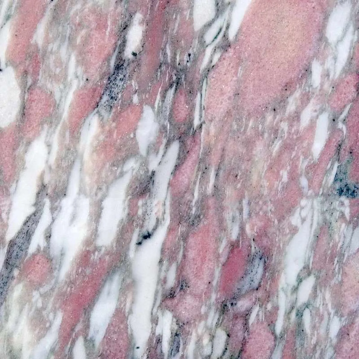 Rosa Norvegia · marmo · campione · foto 2