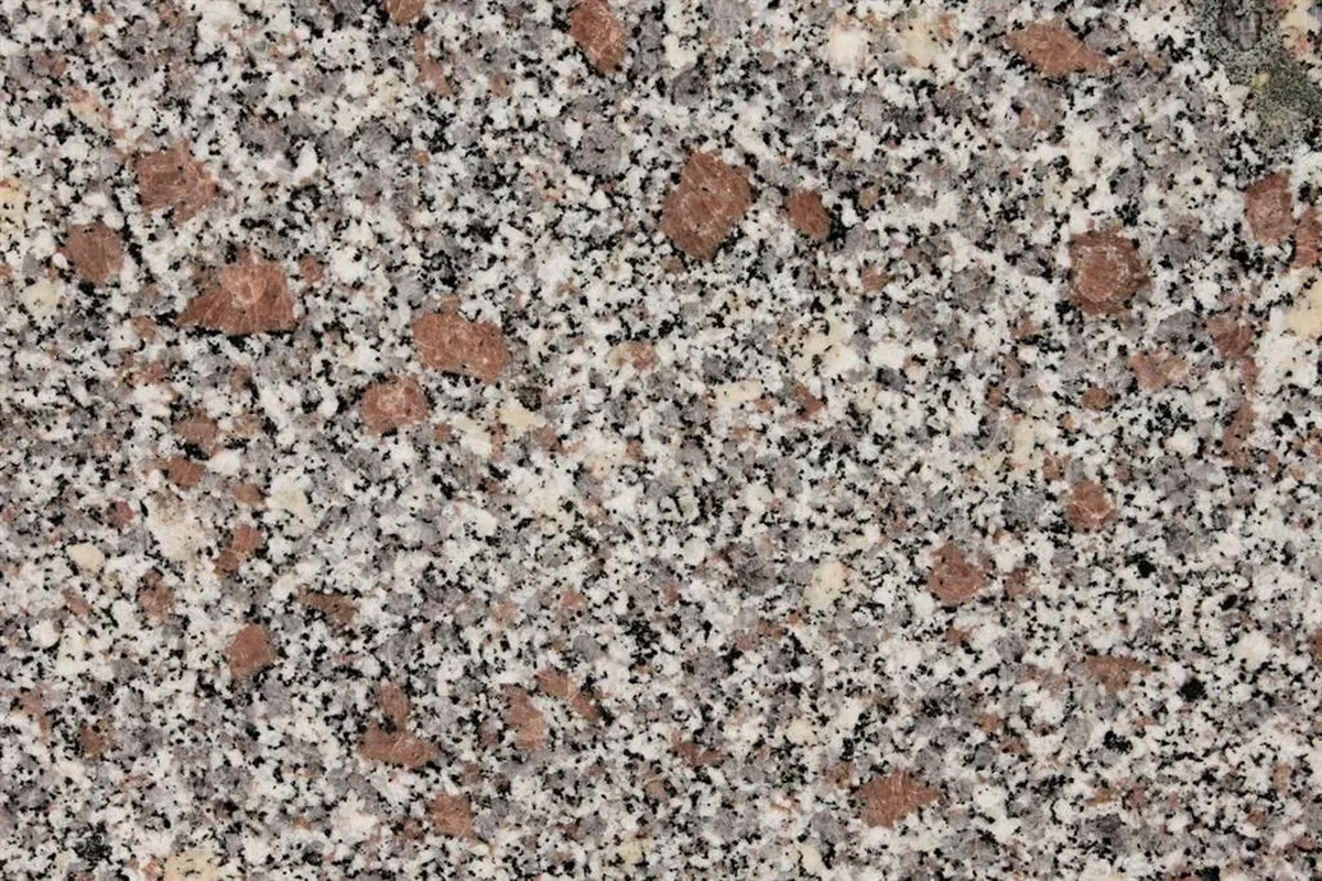 Rosa Sardo Ghiandone Limbara · granit