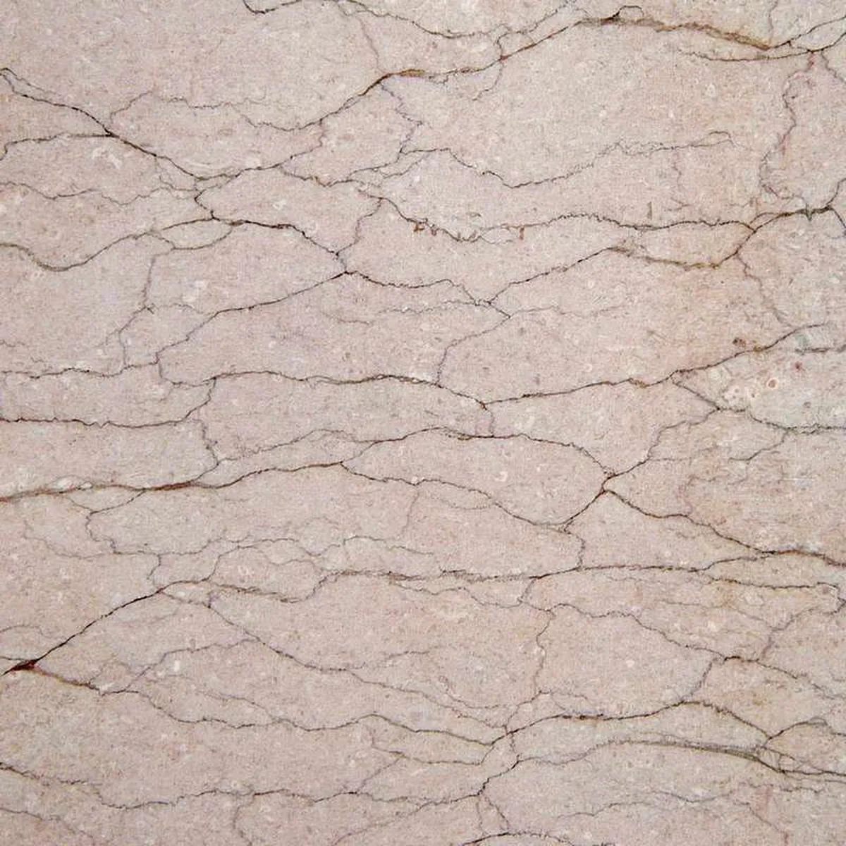 Rosa T Oriente · marm