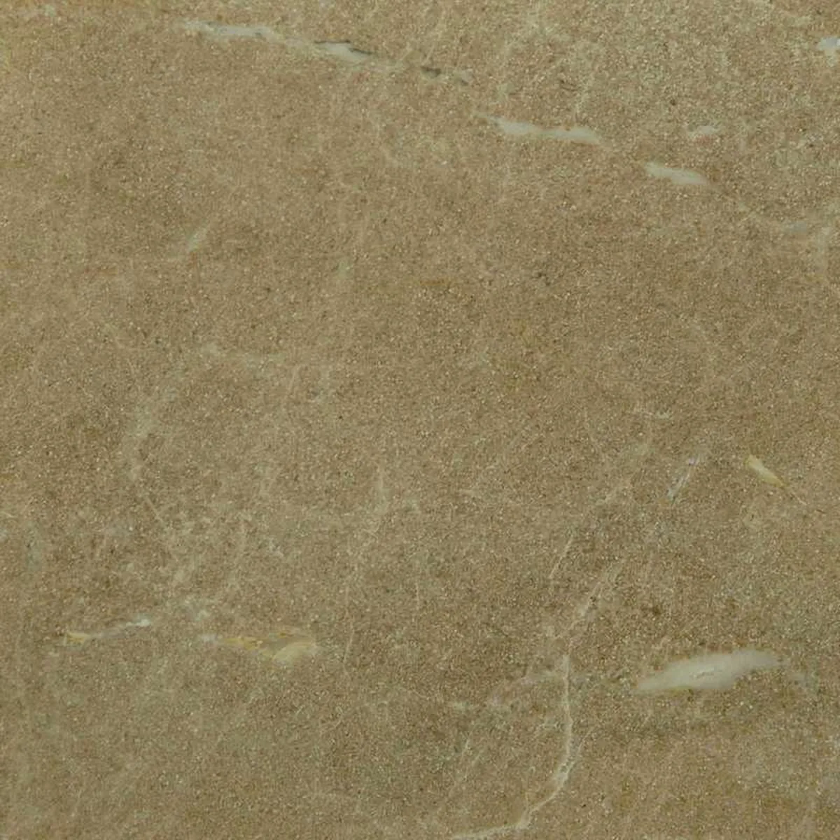 Rosa Zarci · marm