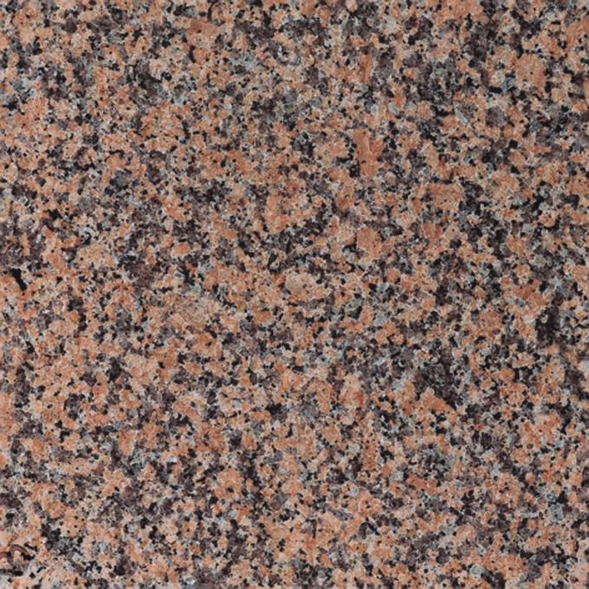 Rose de La Clarte · granit