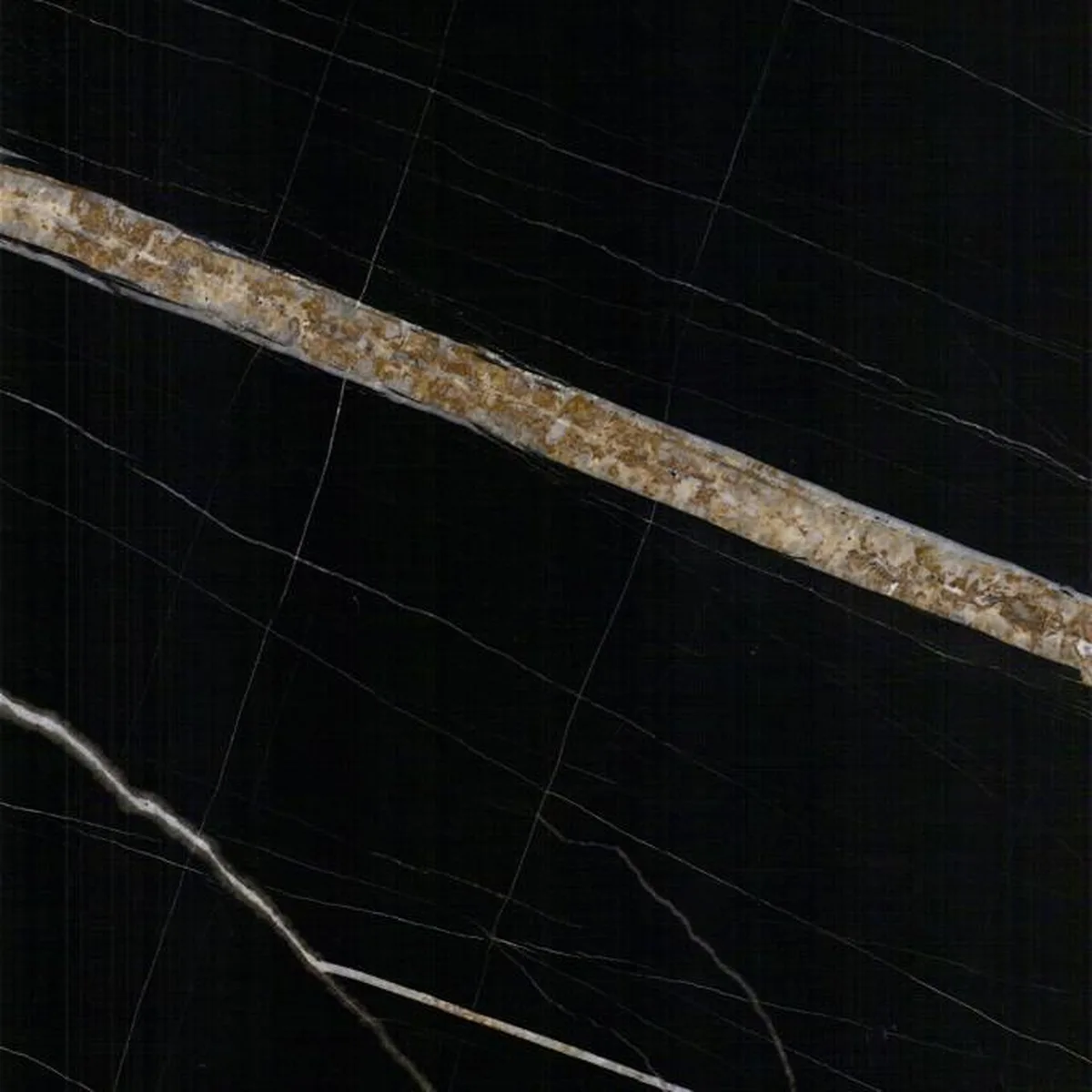 Sahara Noir · marm