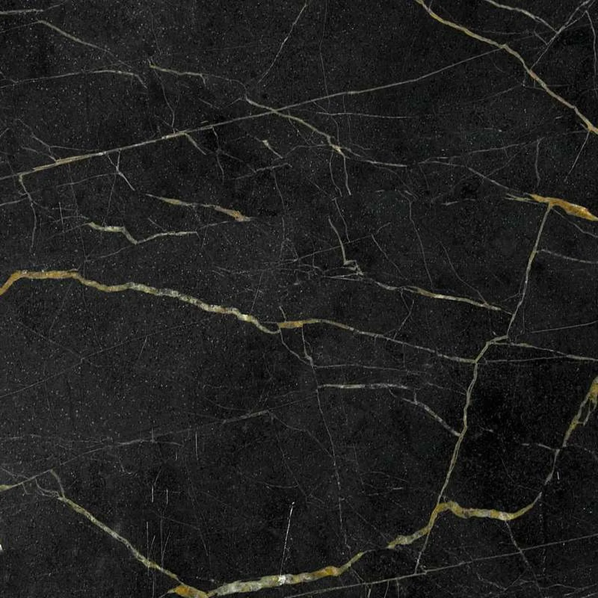 Saint Laurent · marmo · campione · foto 2
