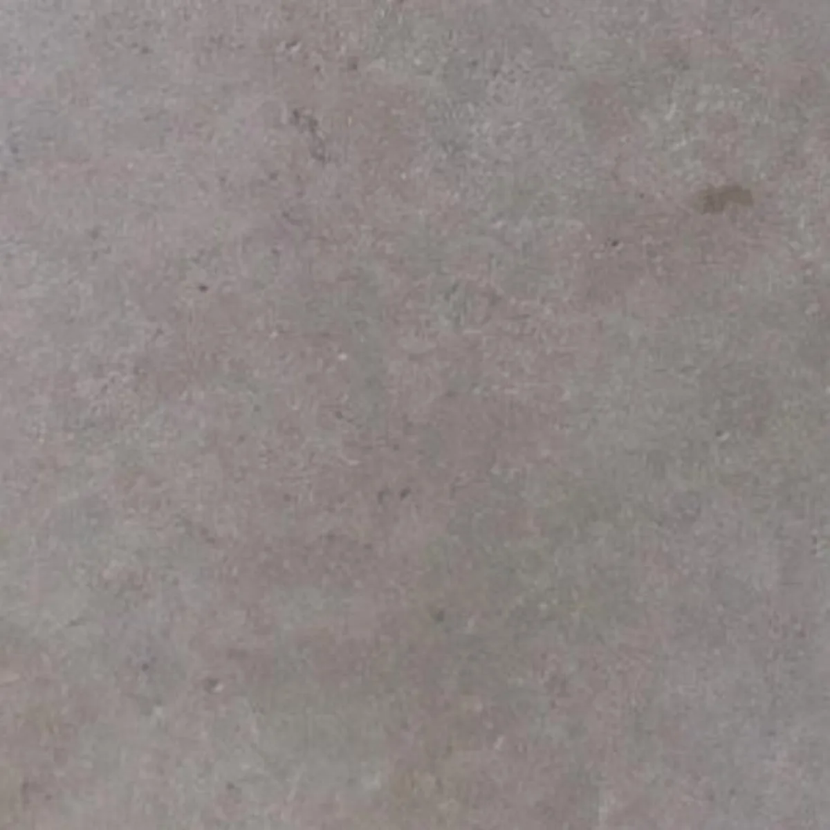 Sinai Pearl · marm