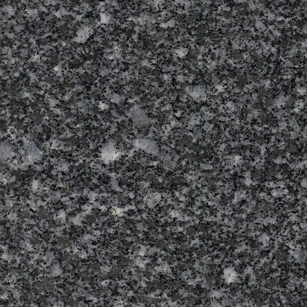 Tarn Perle Royal · granit
