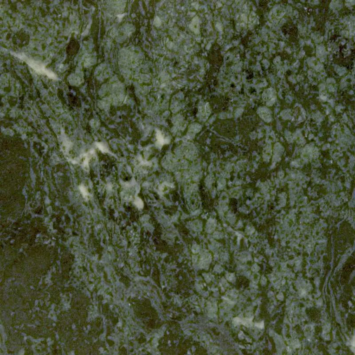 Verde Imperiale · marmo · campione · foto 2