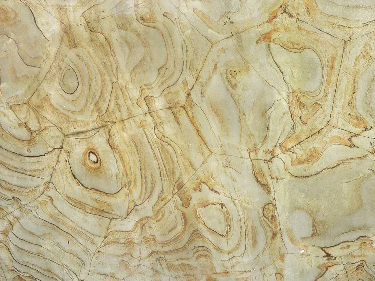 Wasabi · granit